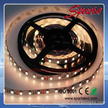 Remote Control LED LED Rope Light 5050 SMD DC12V/24V